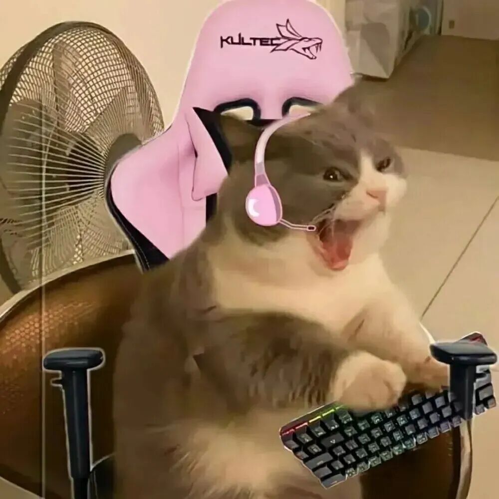 sdfnguaidayouxichicha沙雕搞怪打游戏猫咪萌宠情侣头像