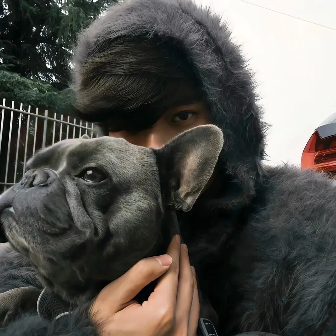 抱着狗狗小众男生头像