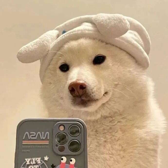 自拍手机狗狗萌宠头像