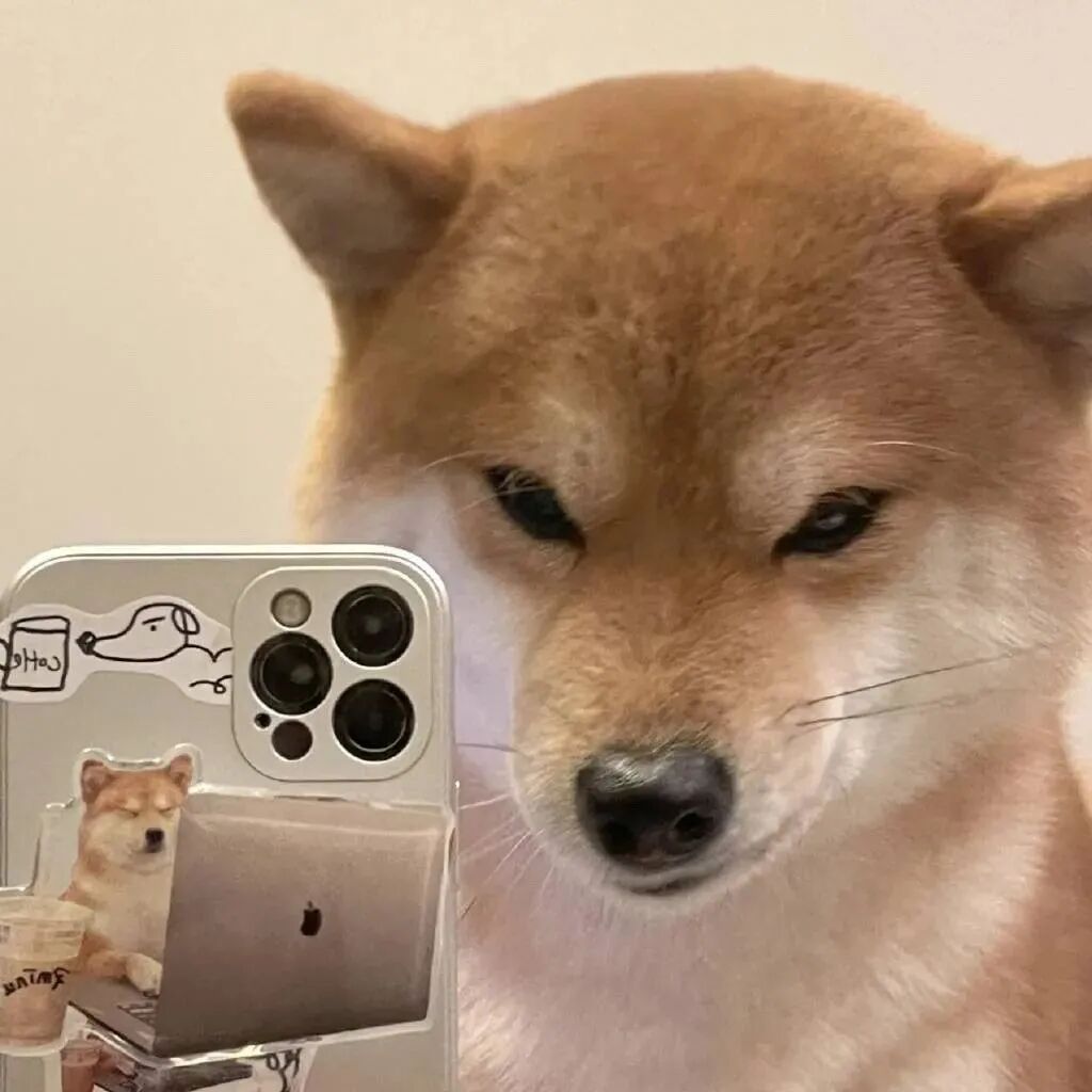 自拍手机柴犬狗狗萌宠头像