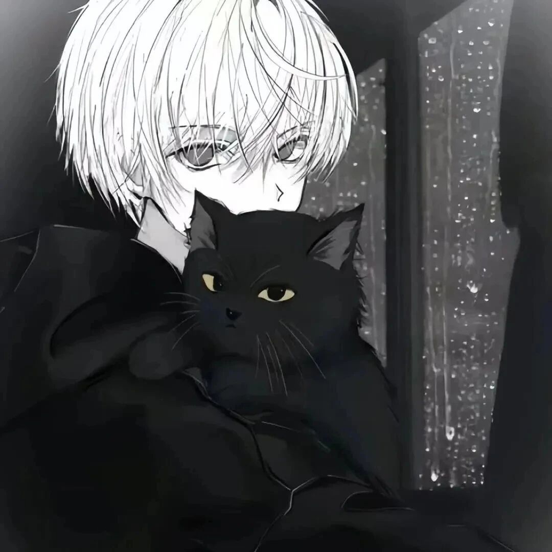kubisanweizhuhainuo抱着猫咪黑白动漫情侣头像