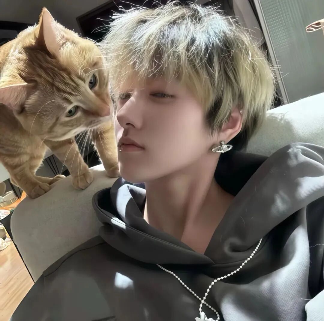 抱着猫咪痞帅男生头像