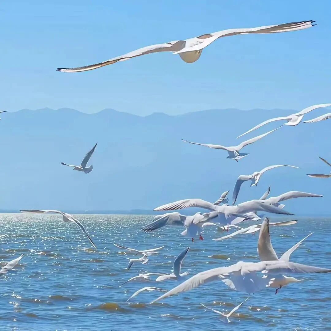 海边背景图