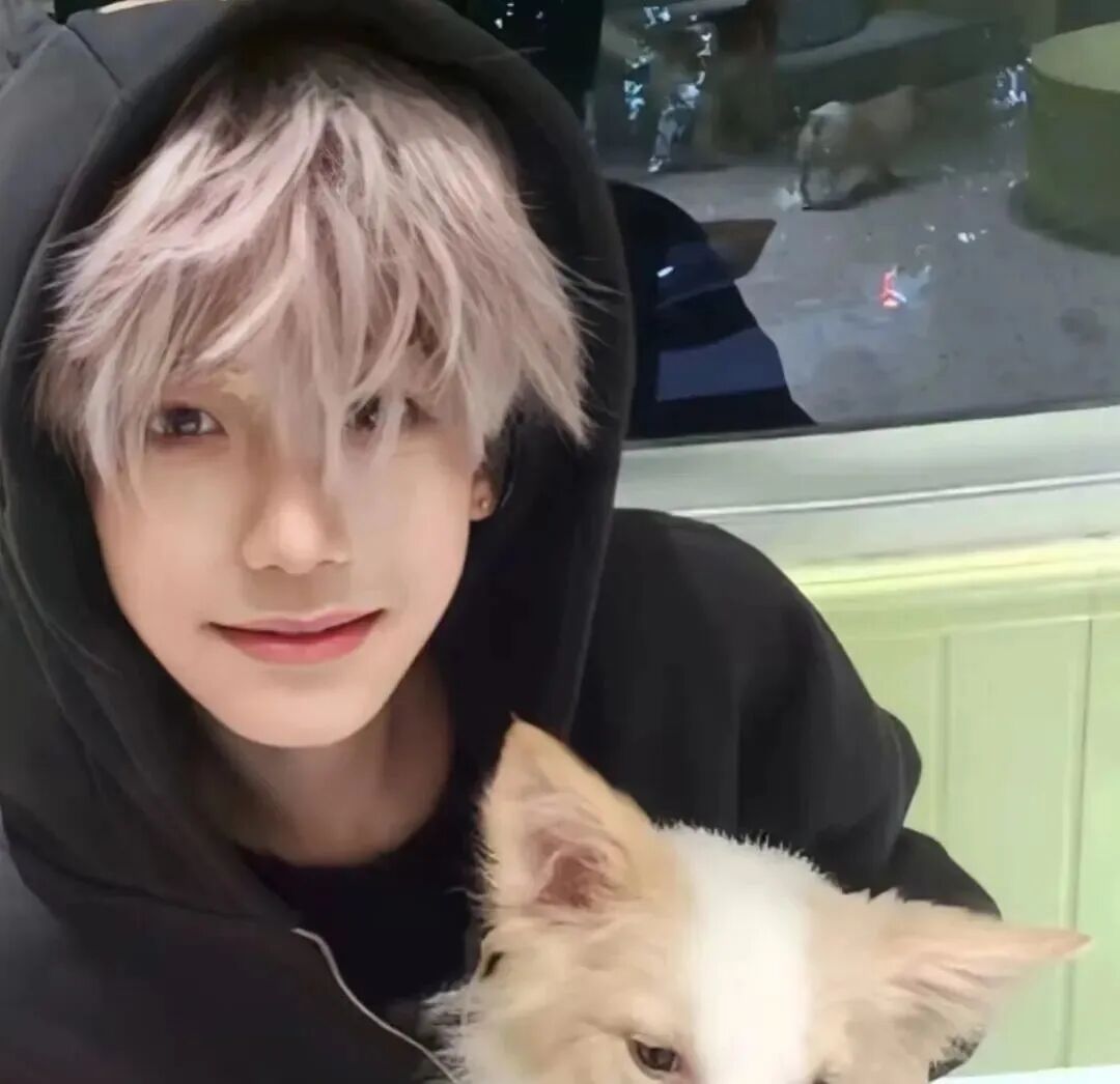抱着狗狗小众男生头像