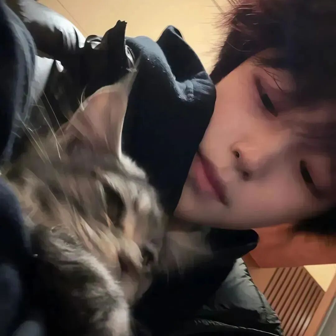 抱着猫咪小众男生头像