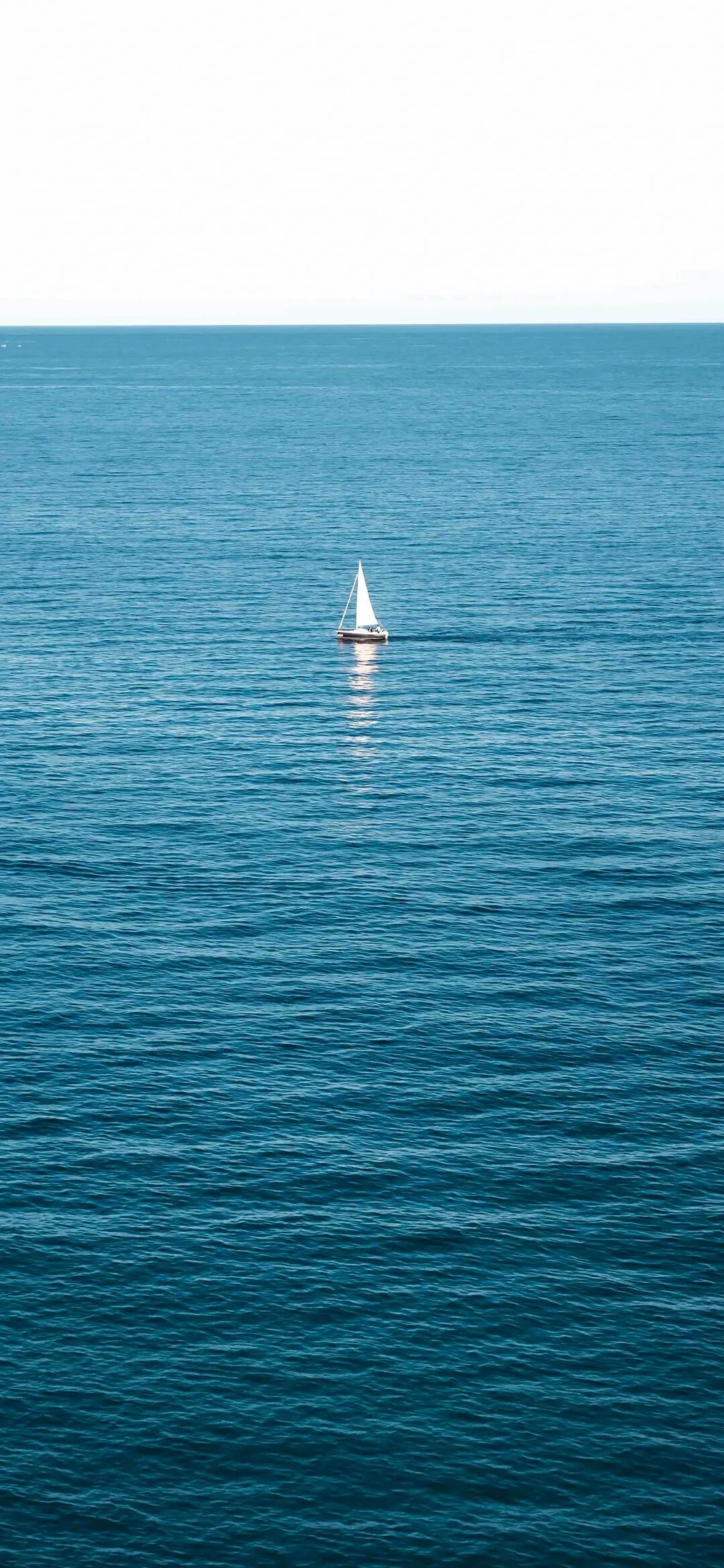 风景