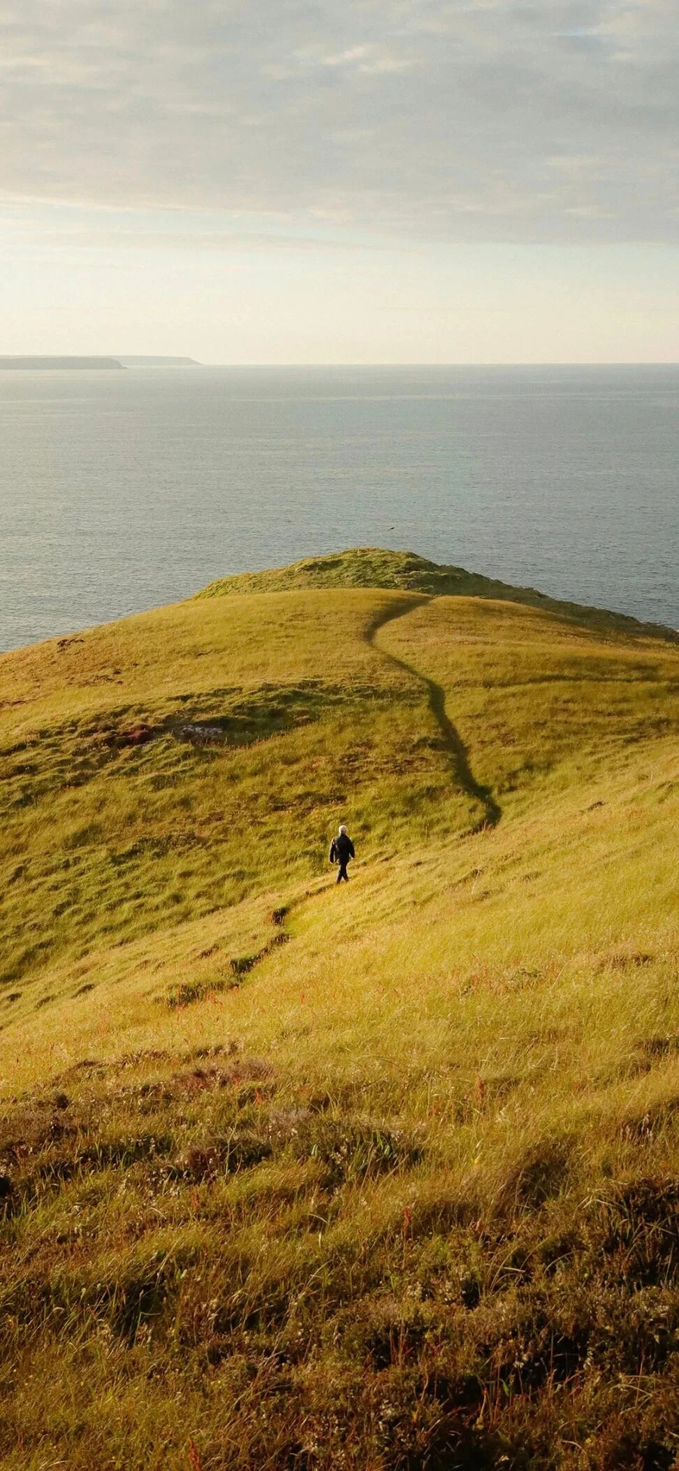 风景