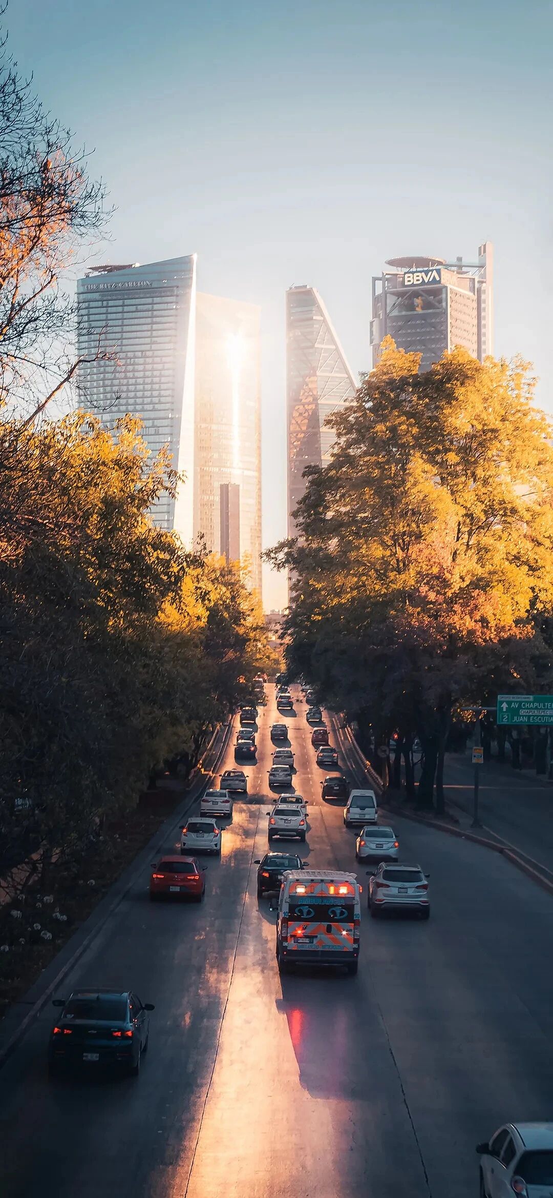 风景