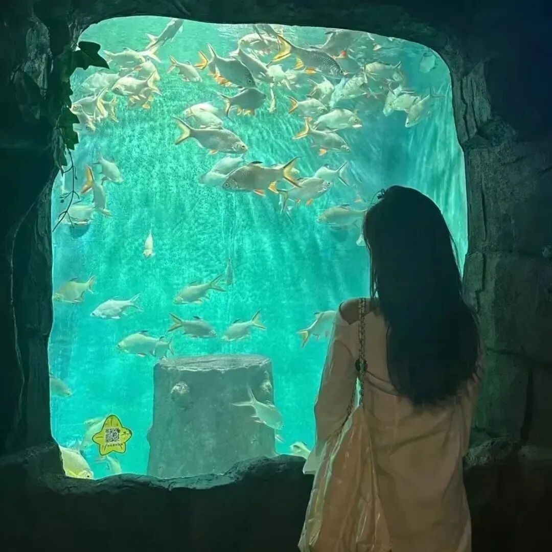 haidianqxianbolidatui海底真人情侣头像