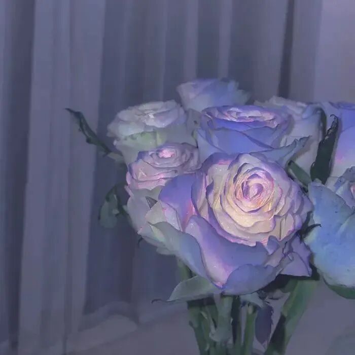 ins花朵背景图