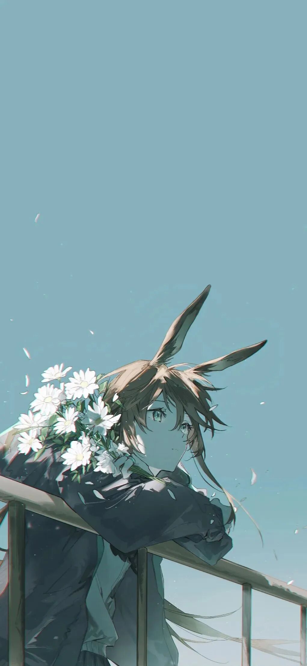 动漫