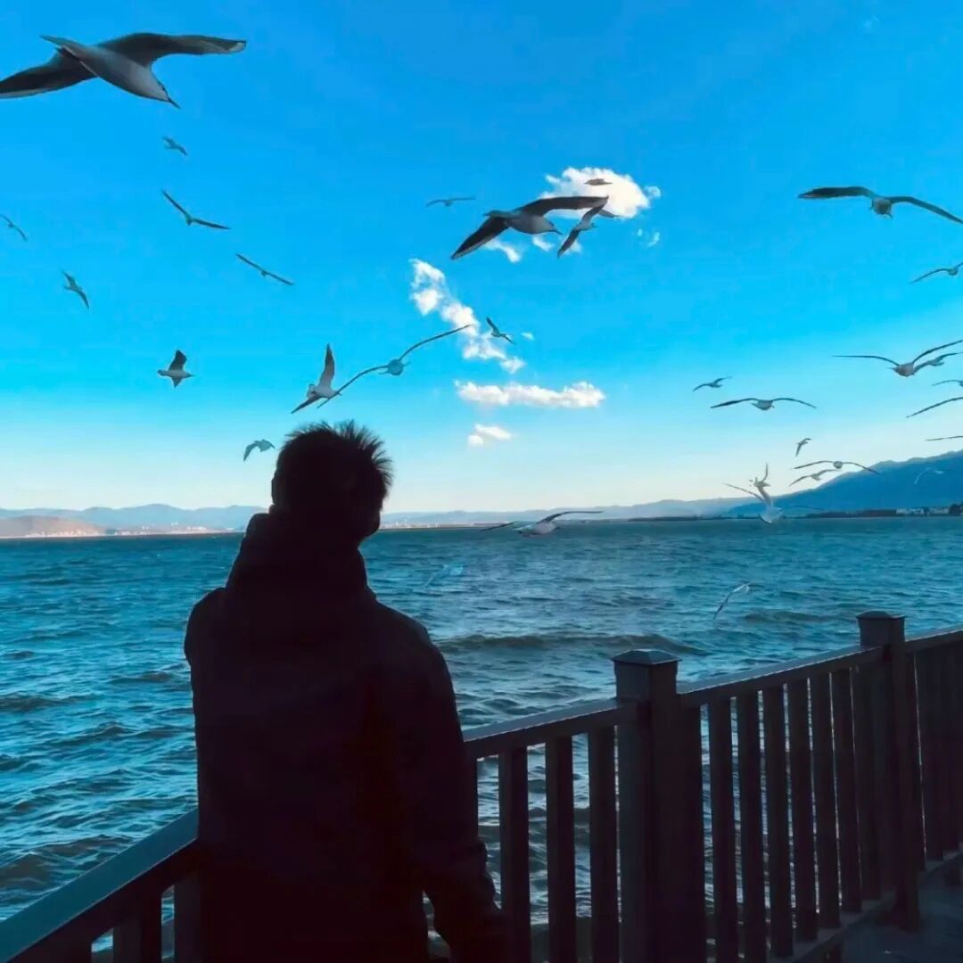 海边氛围感背影不露脸男生头像