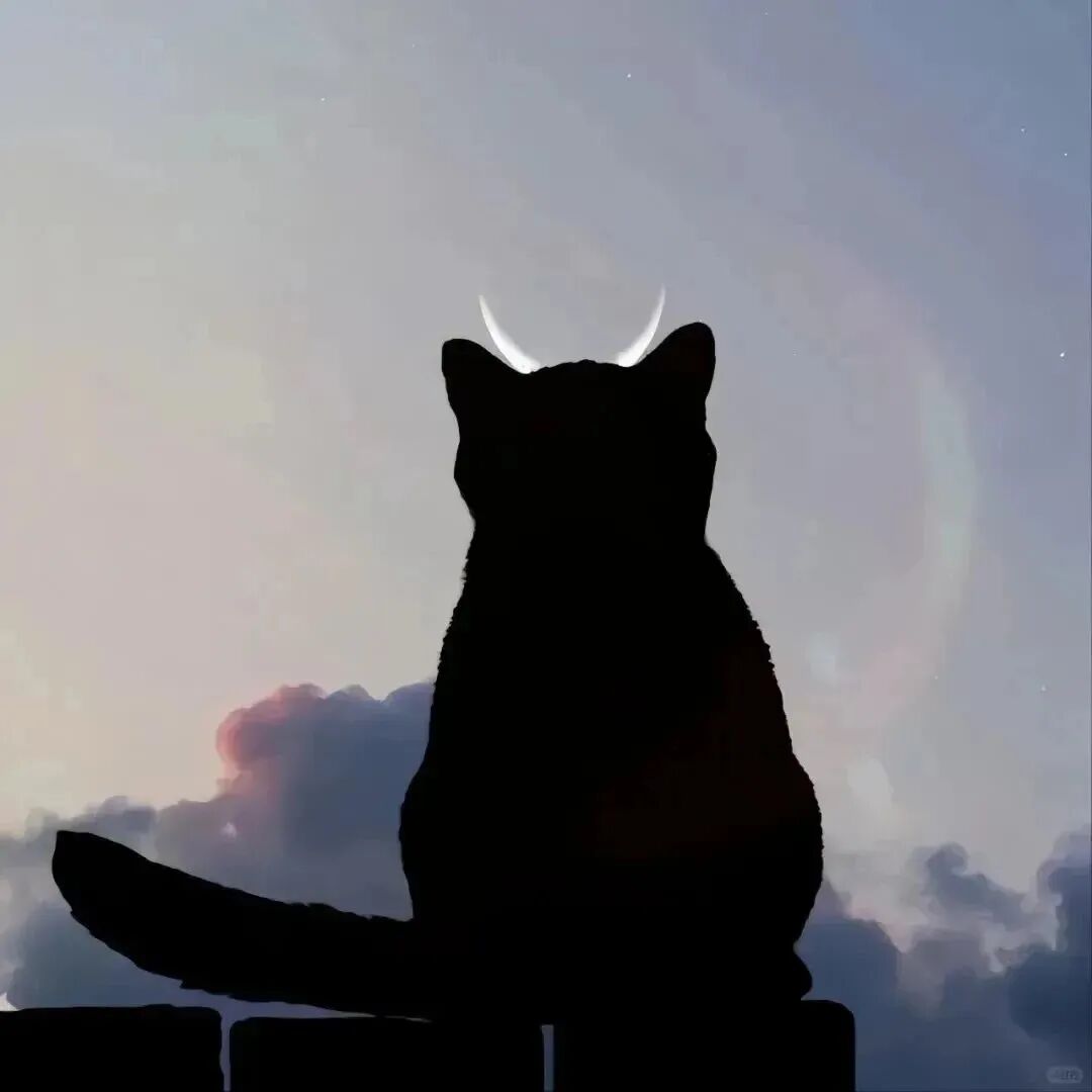 孤独感猫咪卡通头像