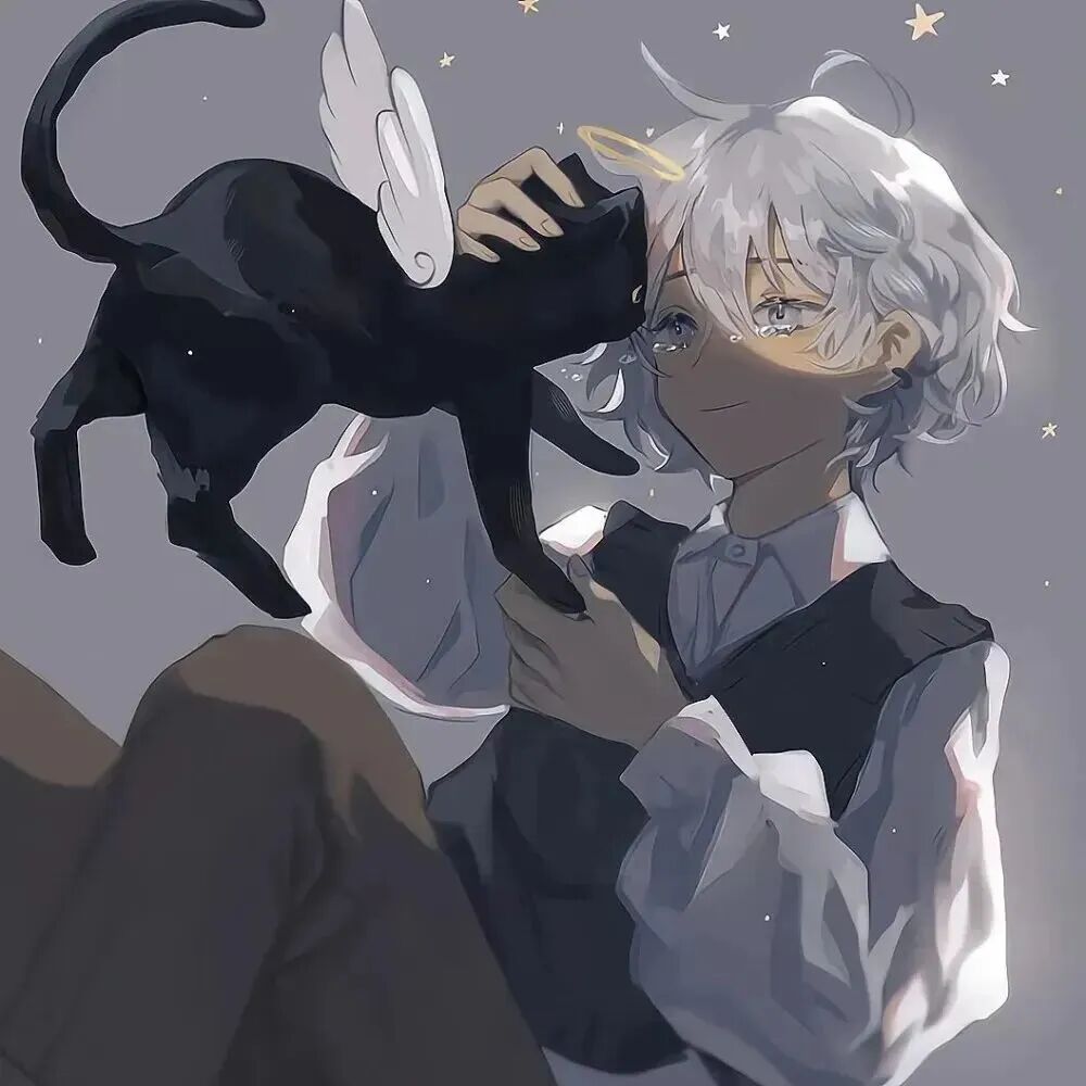 抱着猫咪少年感动漫头像男