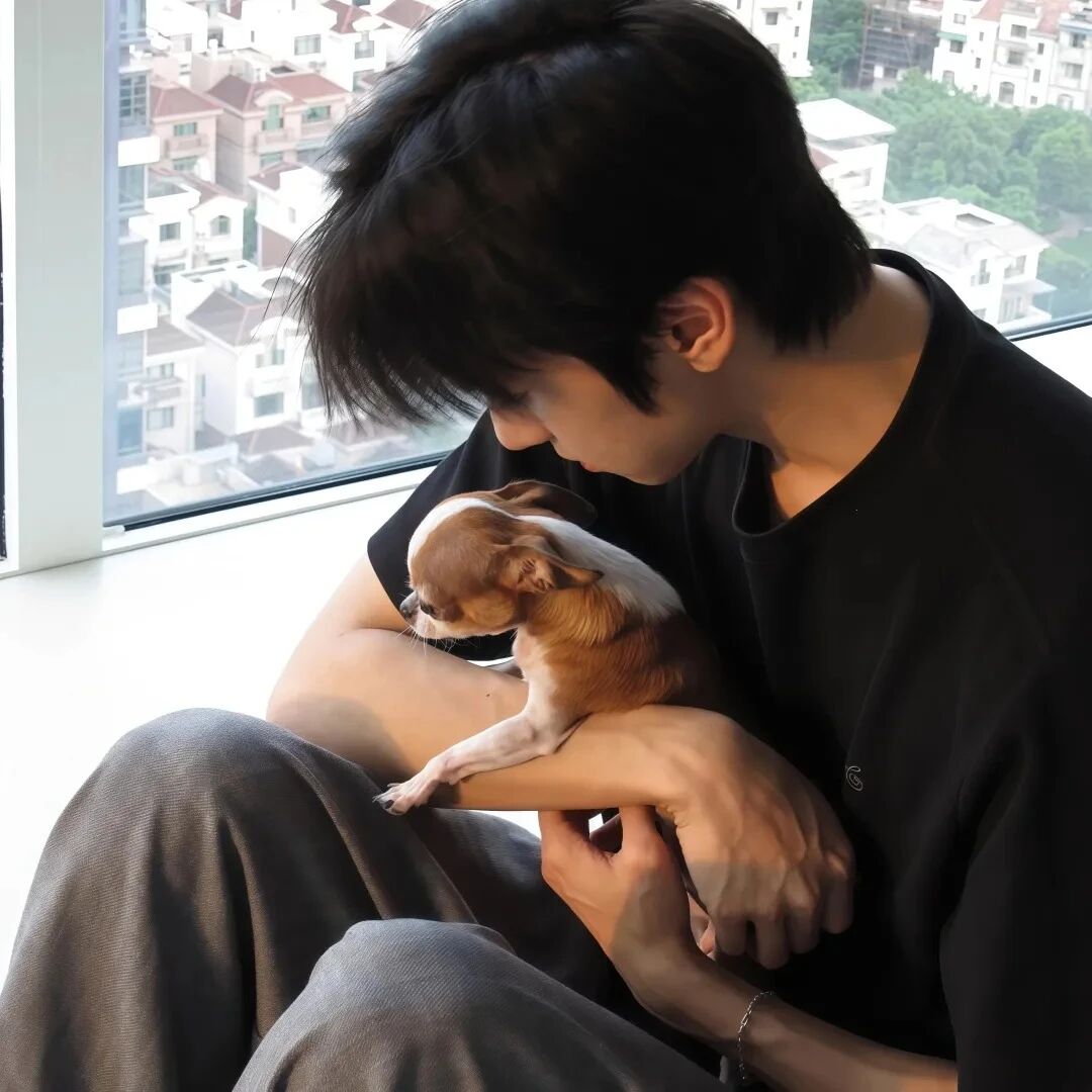 抱着狗狗小众侧脸男生头像