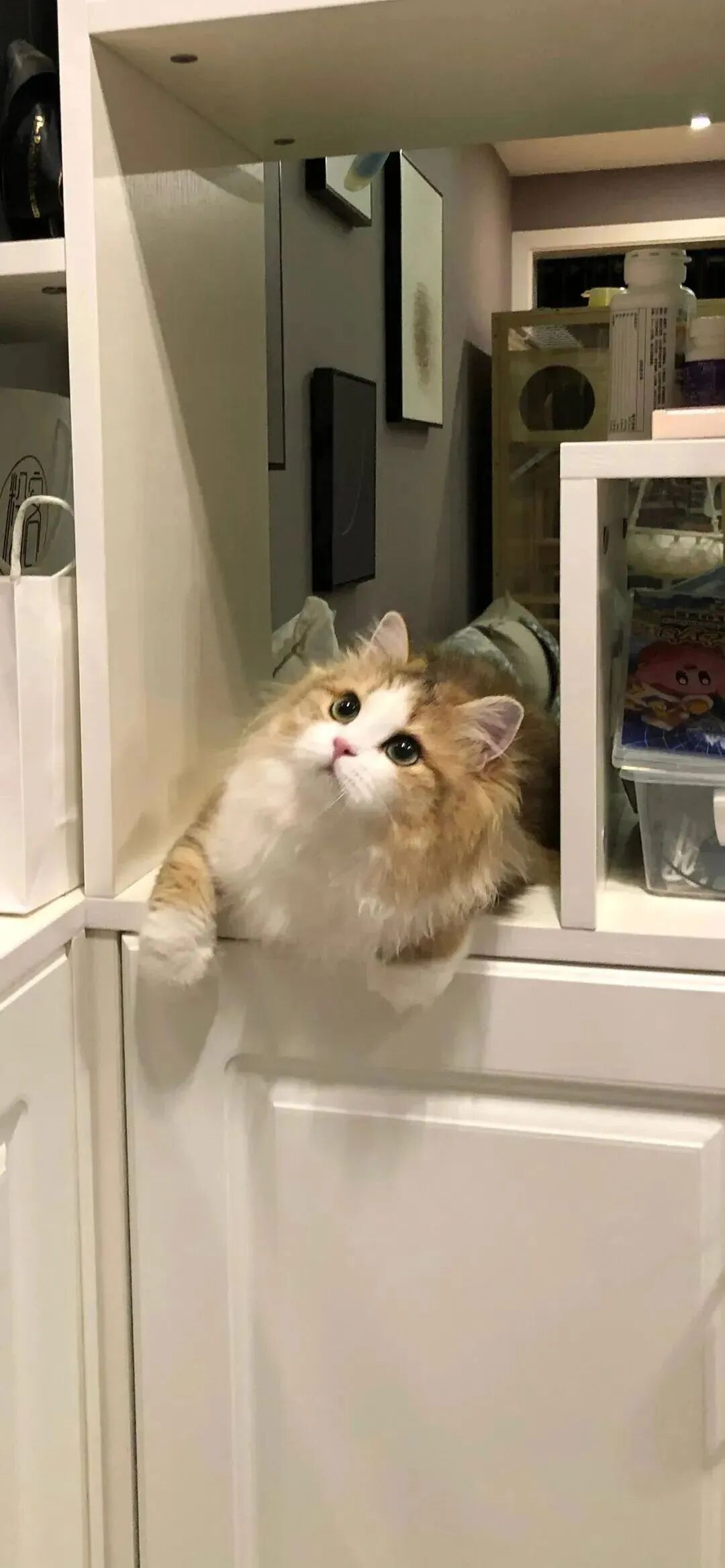 什锦