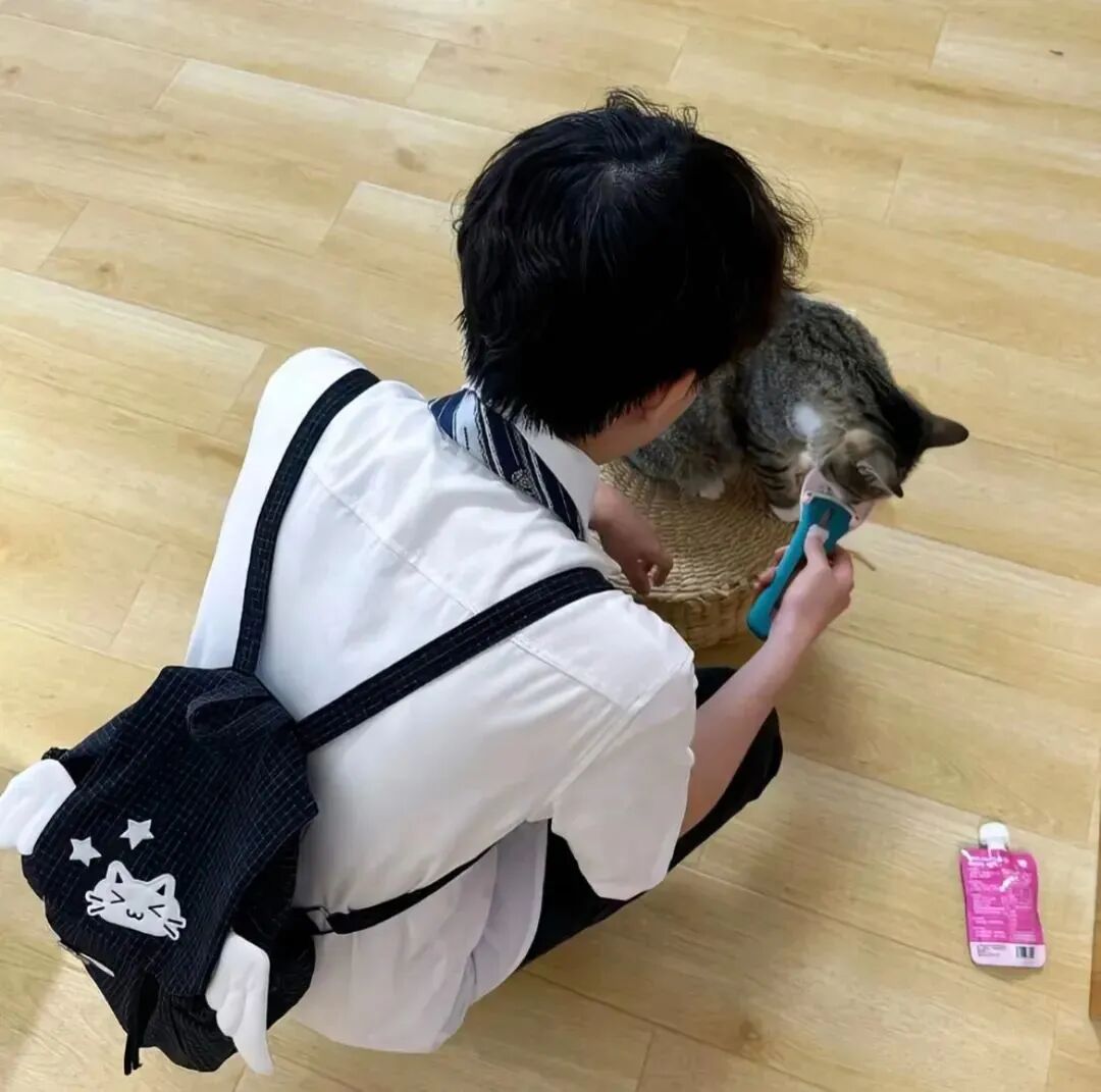 danrenlumaoyaomei撸猫学院风单人真人情侣头像