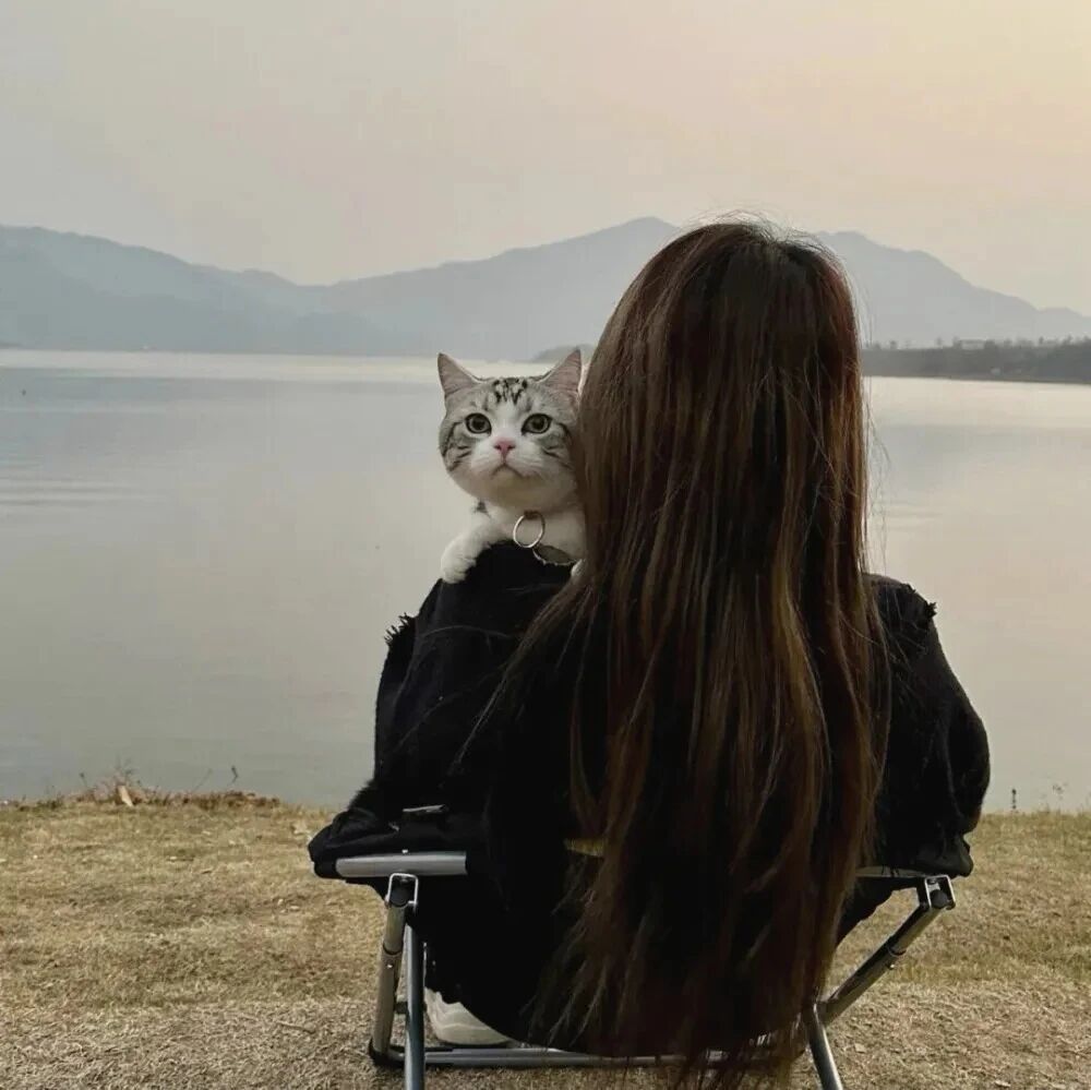 baomaogndpaituo抱着猫咪真人情侣头像