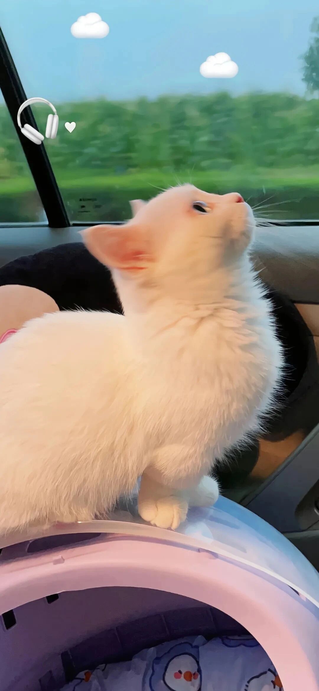什锦