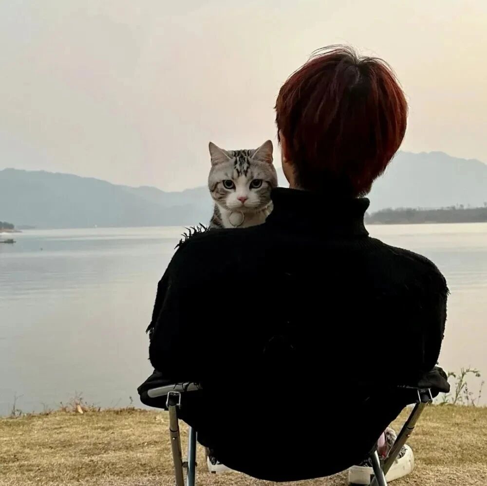 baomaogndpaituo抱着猫咪真人情侣头像