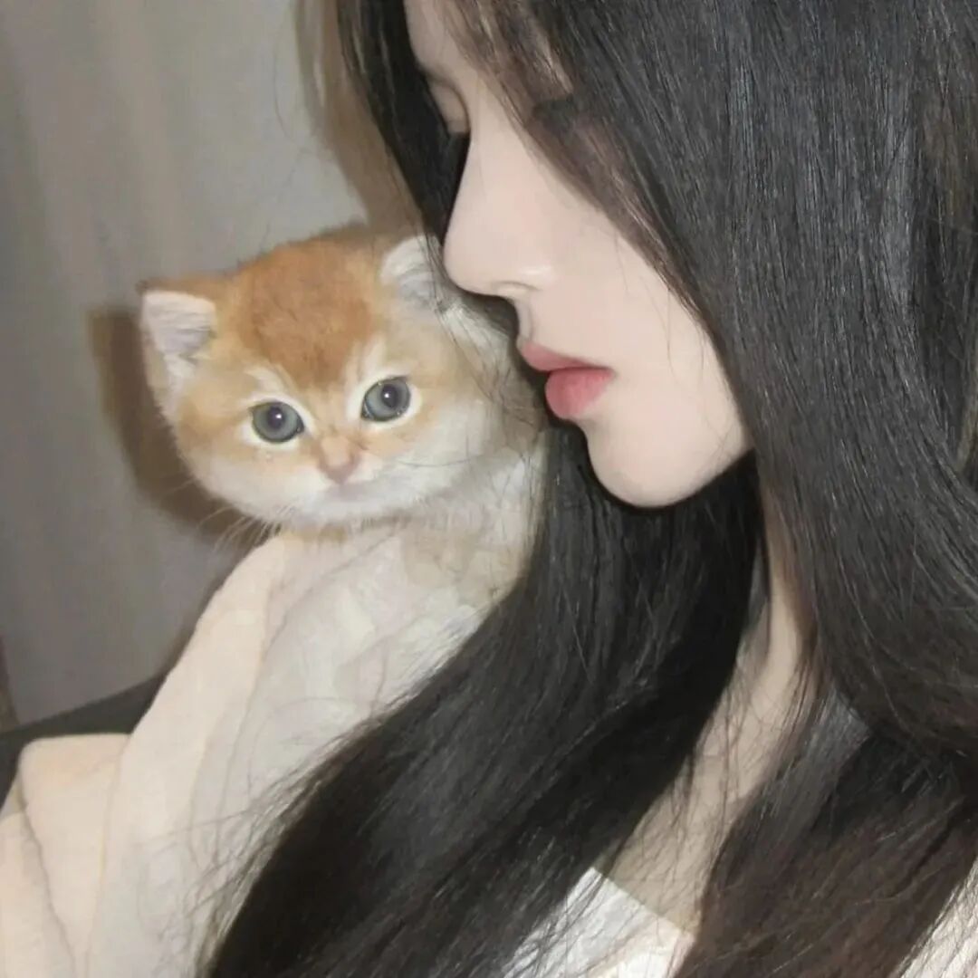 抱着猫咪温柔侧脸女生头像