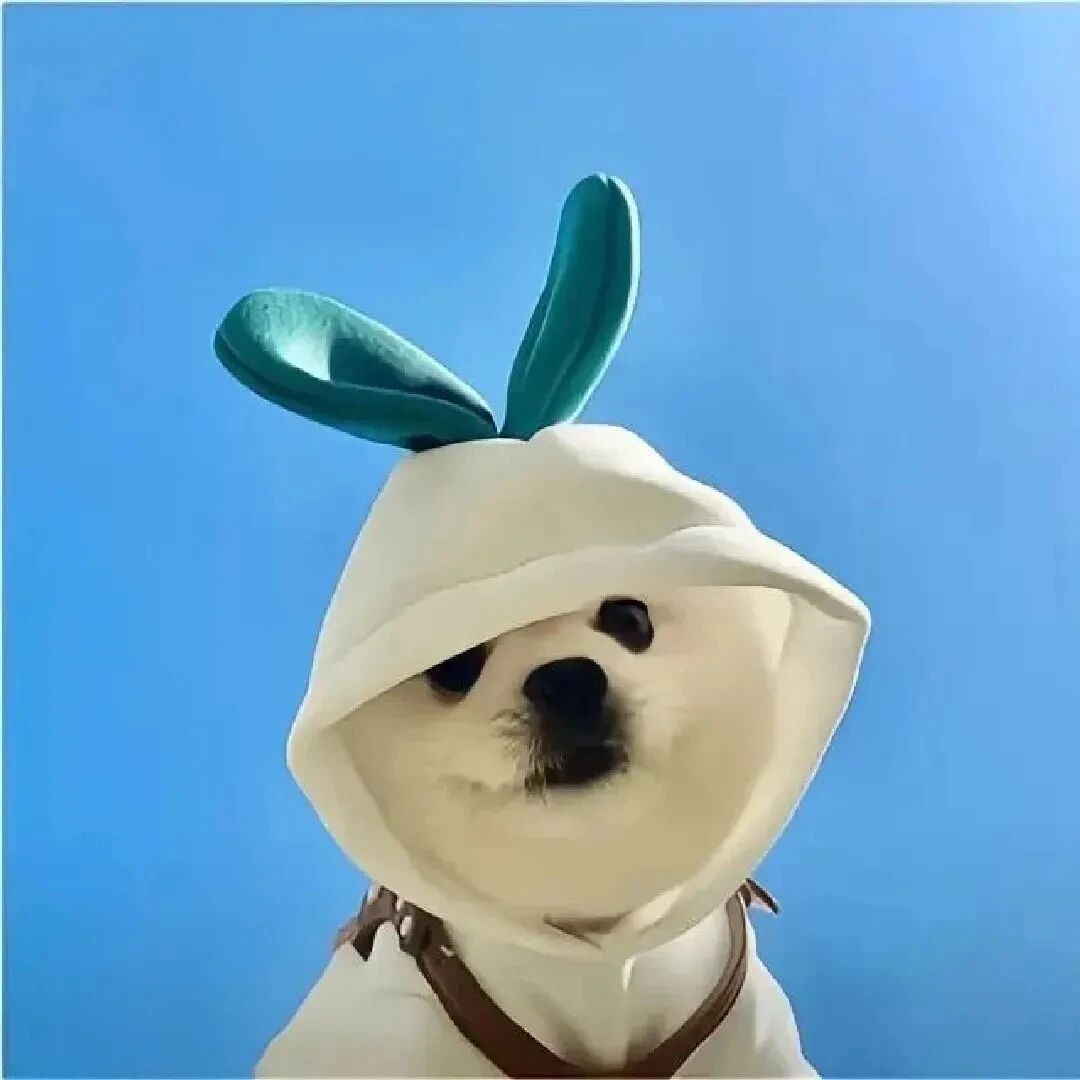 可爱狗狗萌宠头像