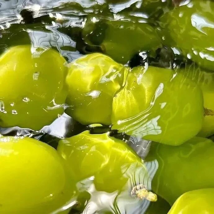 水果朋友圈背景图
