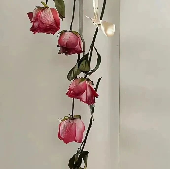 鲜花朋友圈背景图