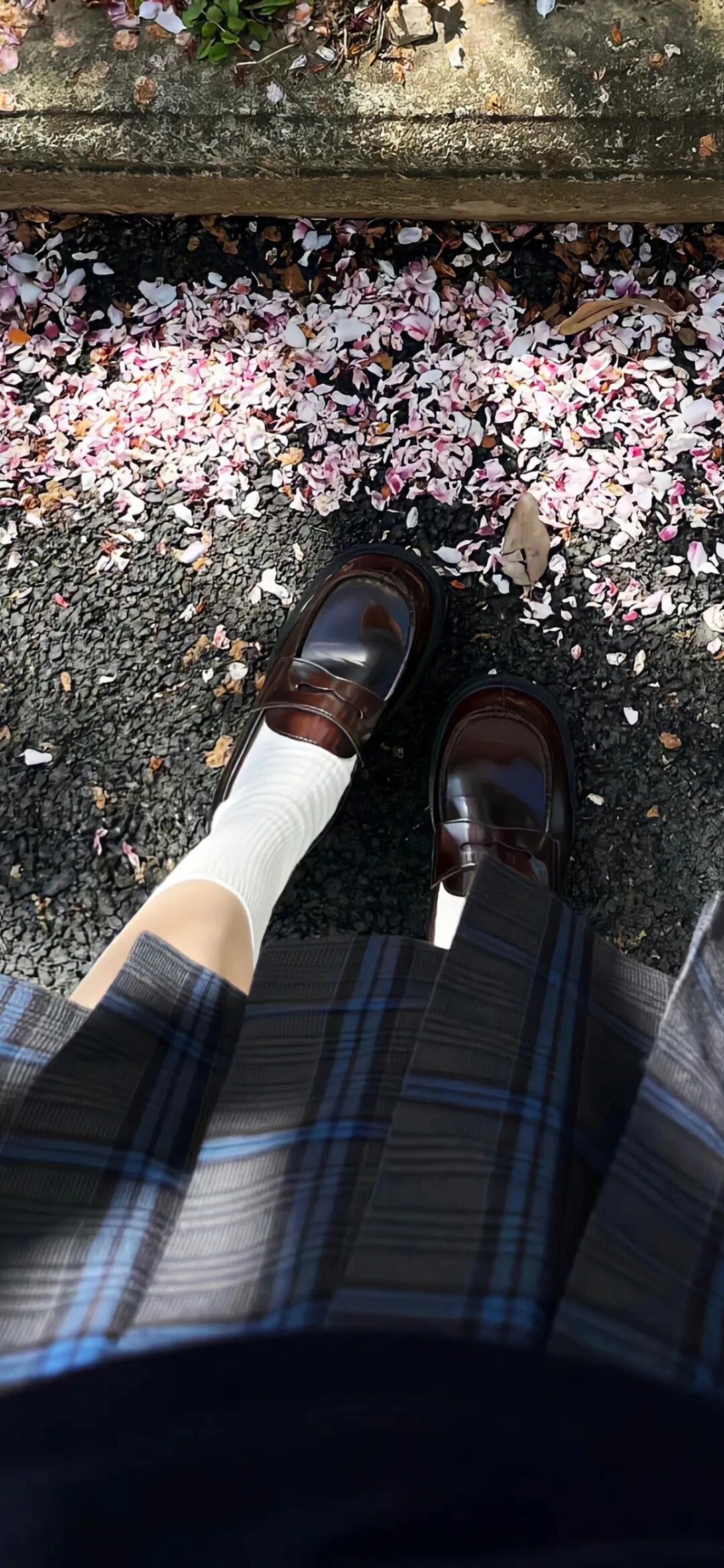 抖音热门