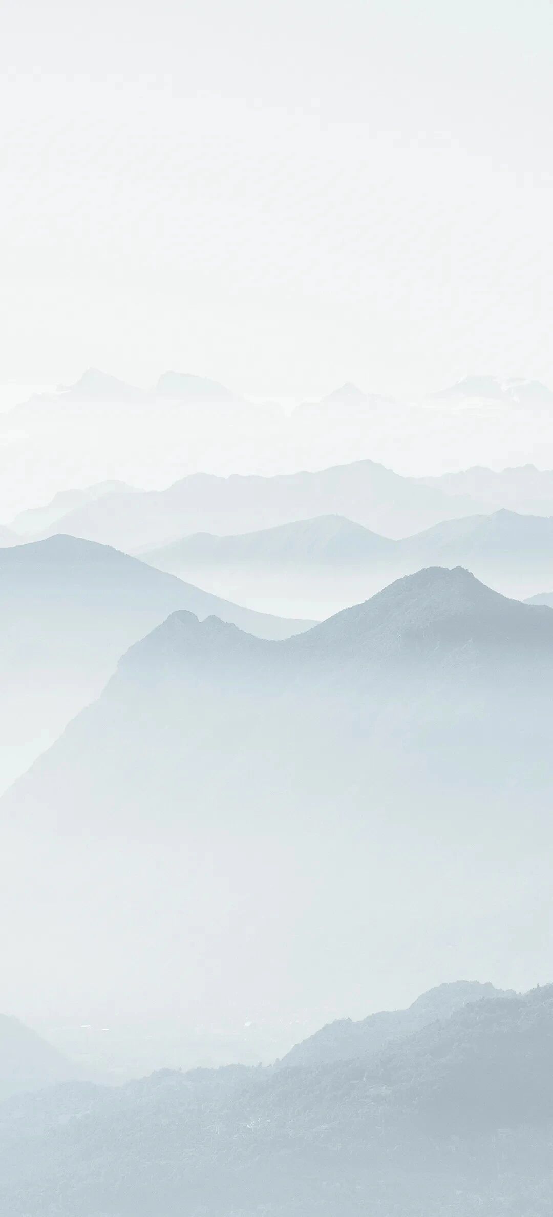 风景