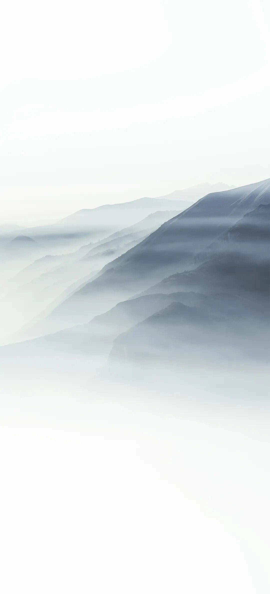 风景