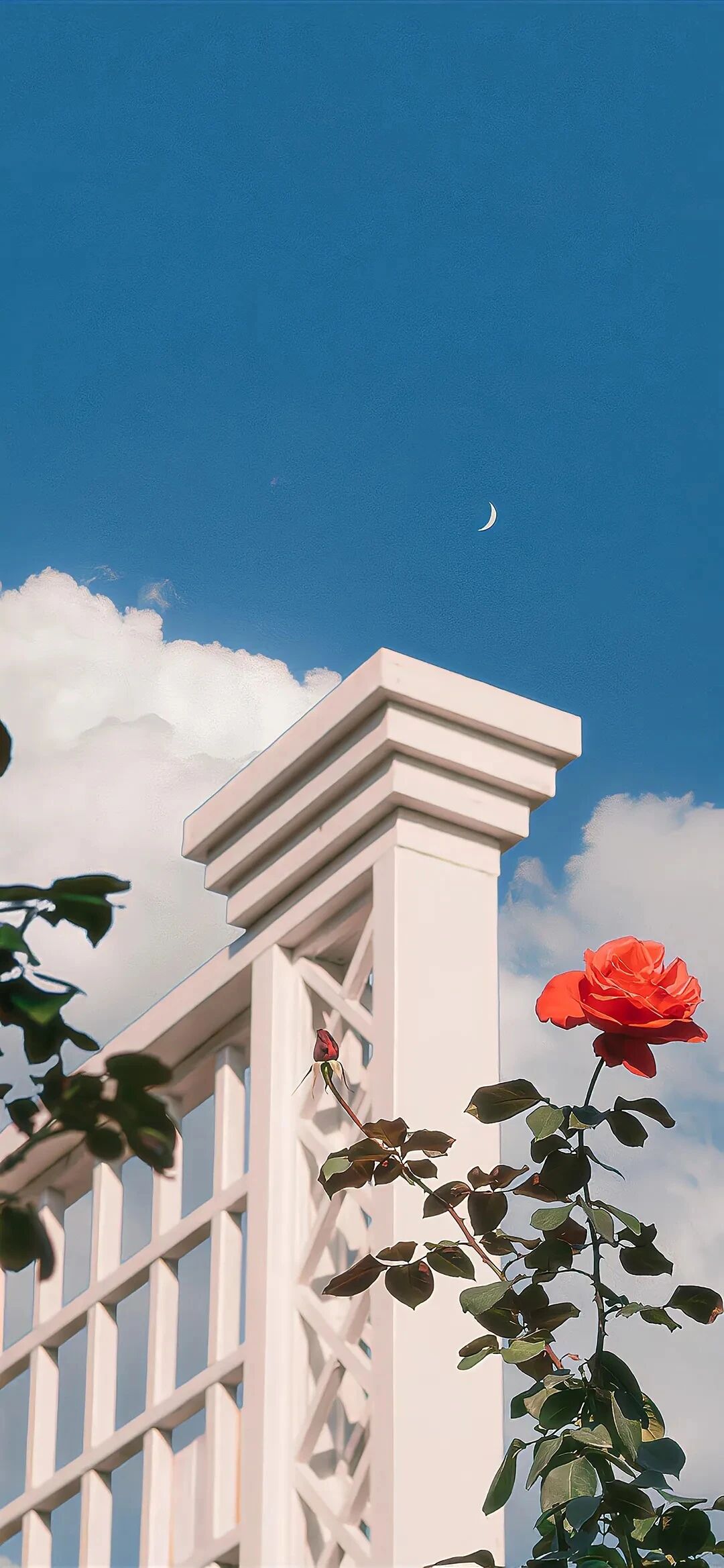 风景