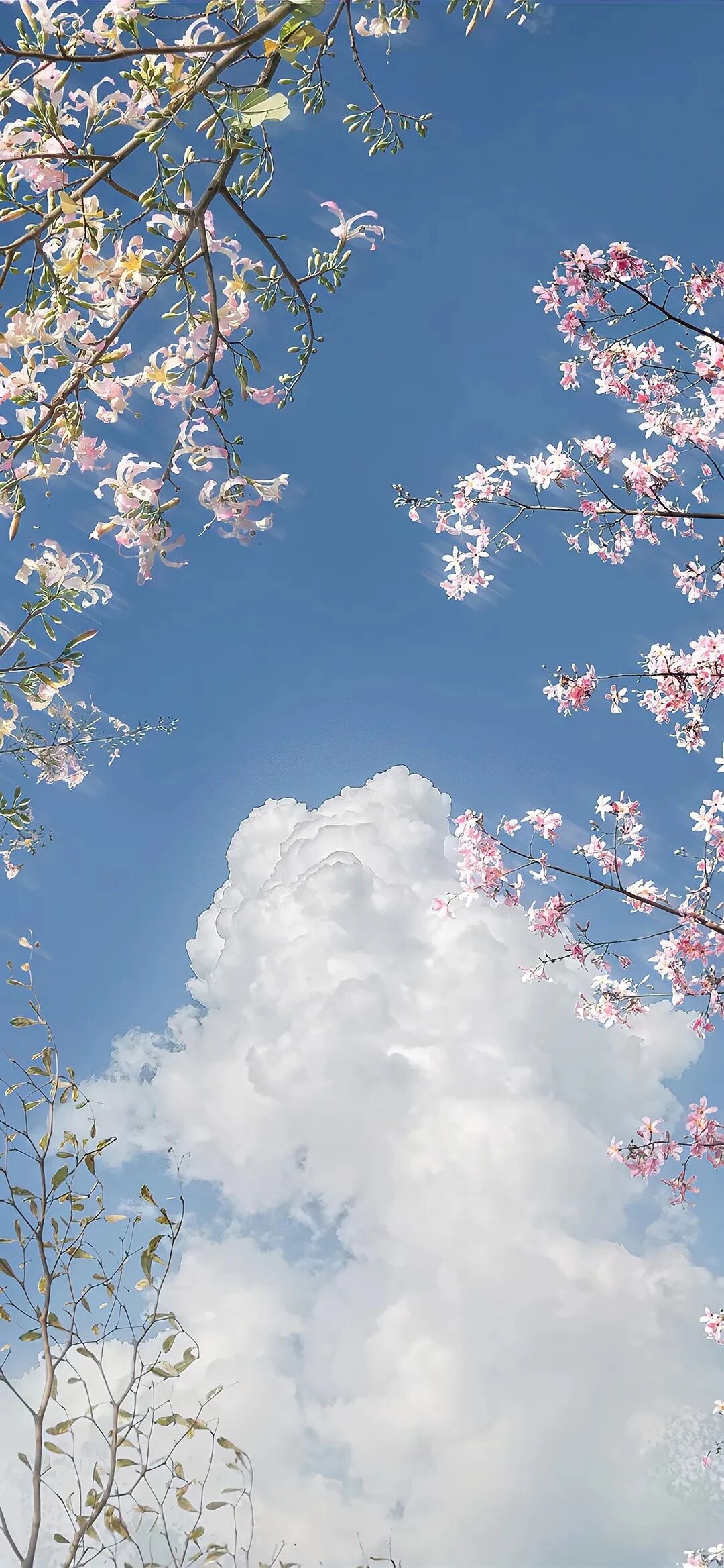 风景