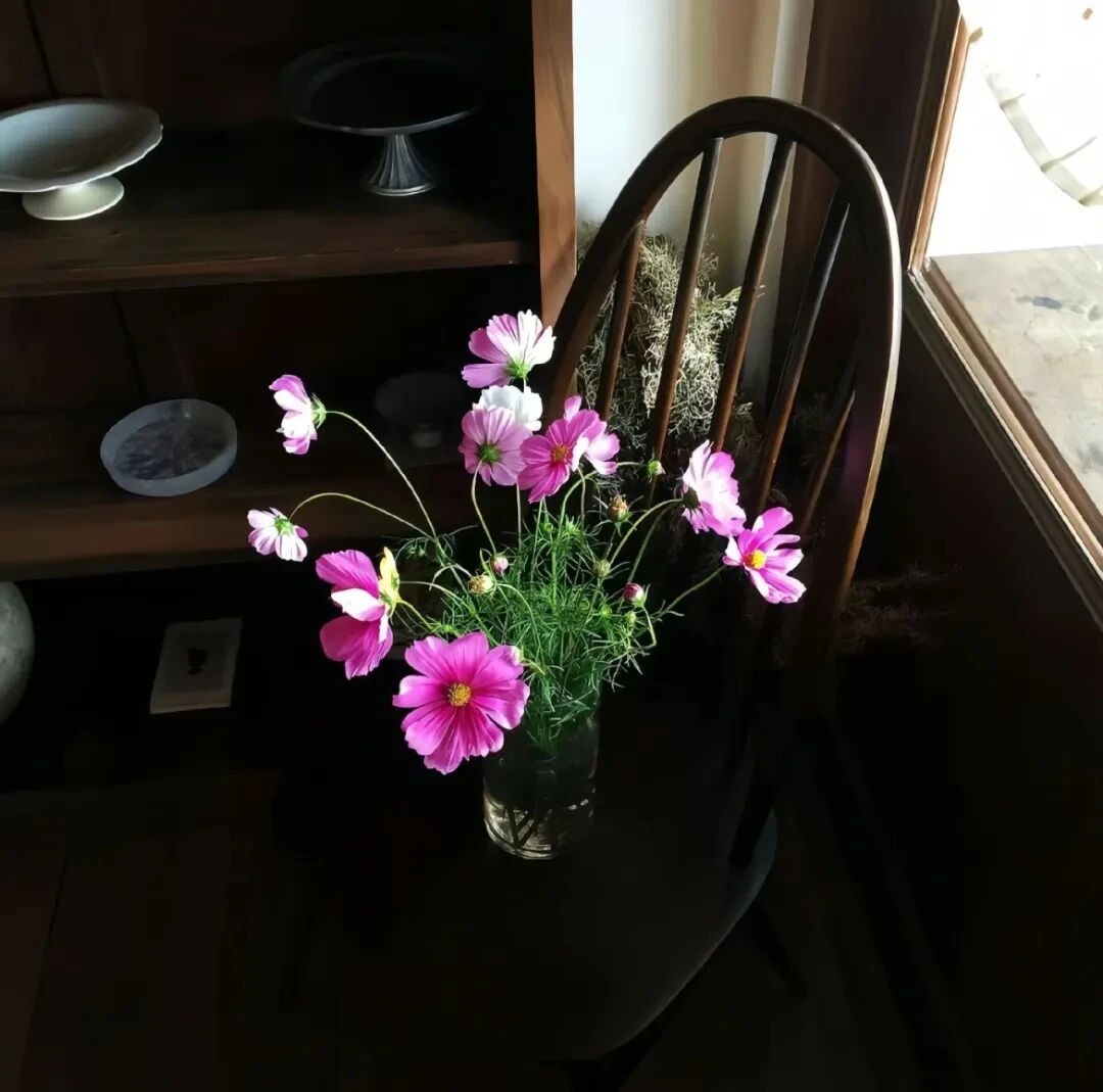 ins花朵朋友圈背景图