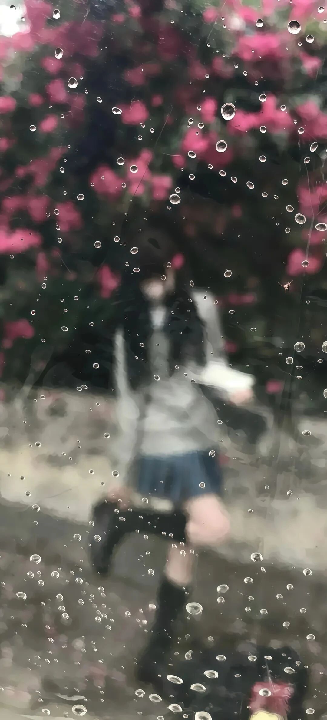 抖音热门