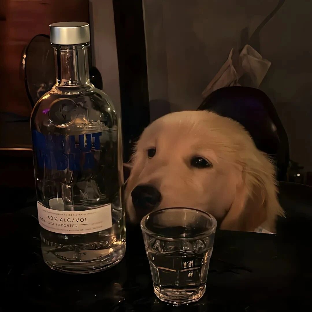 喝酒狗狗萌宠头像