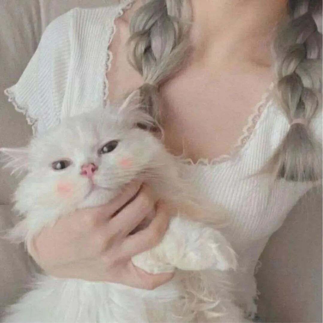 抱着猫咪不露脸女生头像