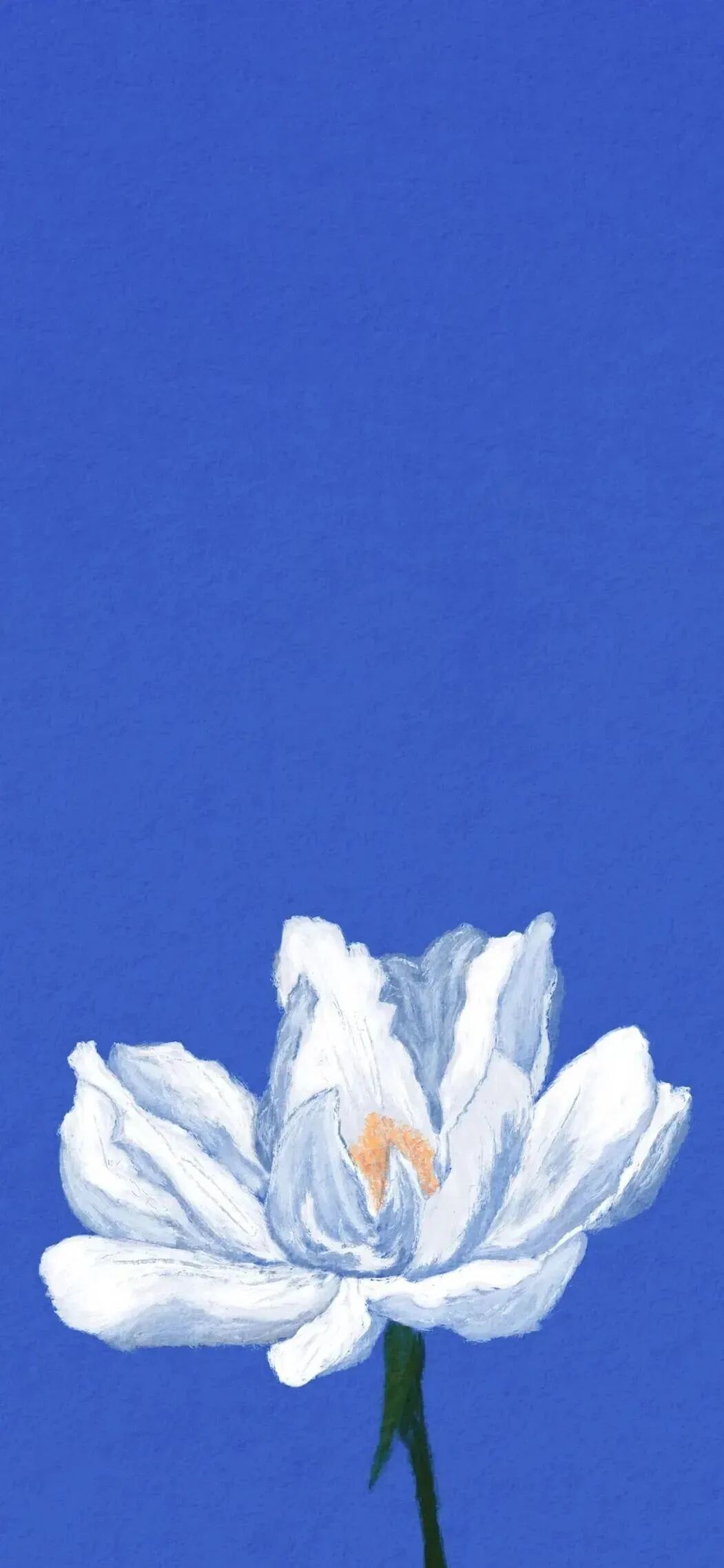 什锦