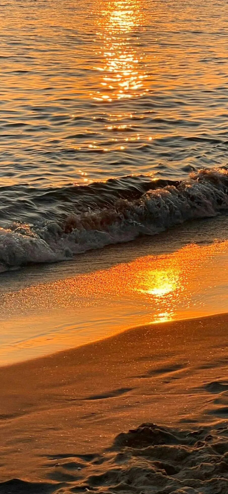 风景