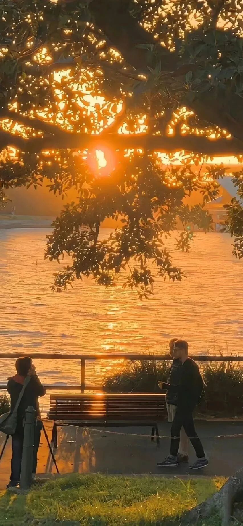 风景