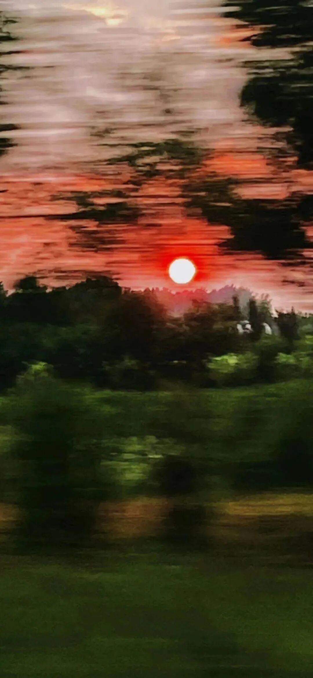 风景