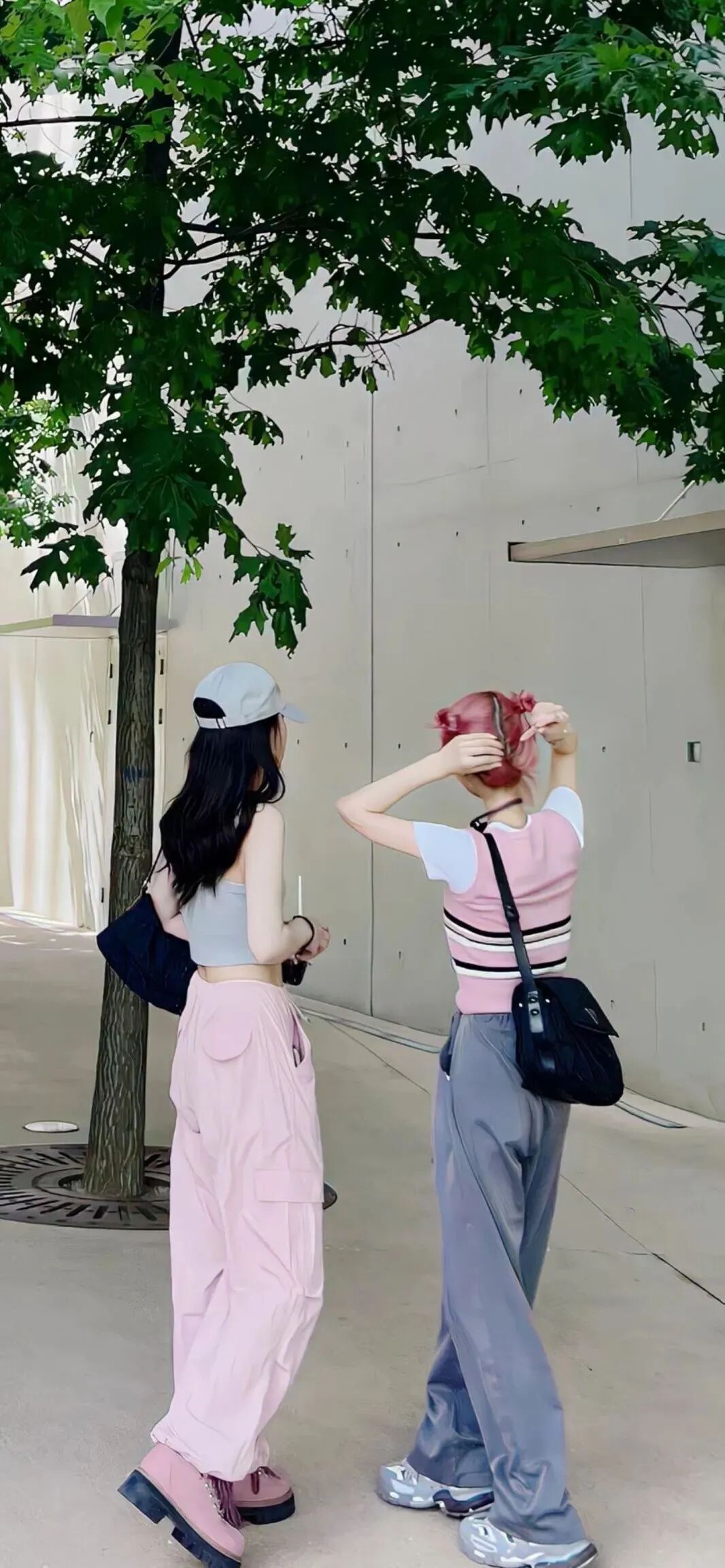 抖音热门