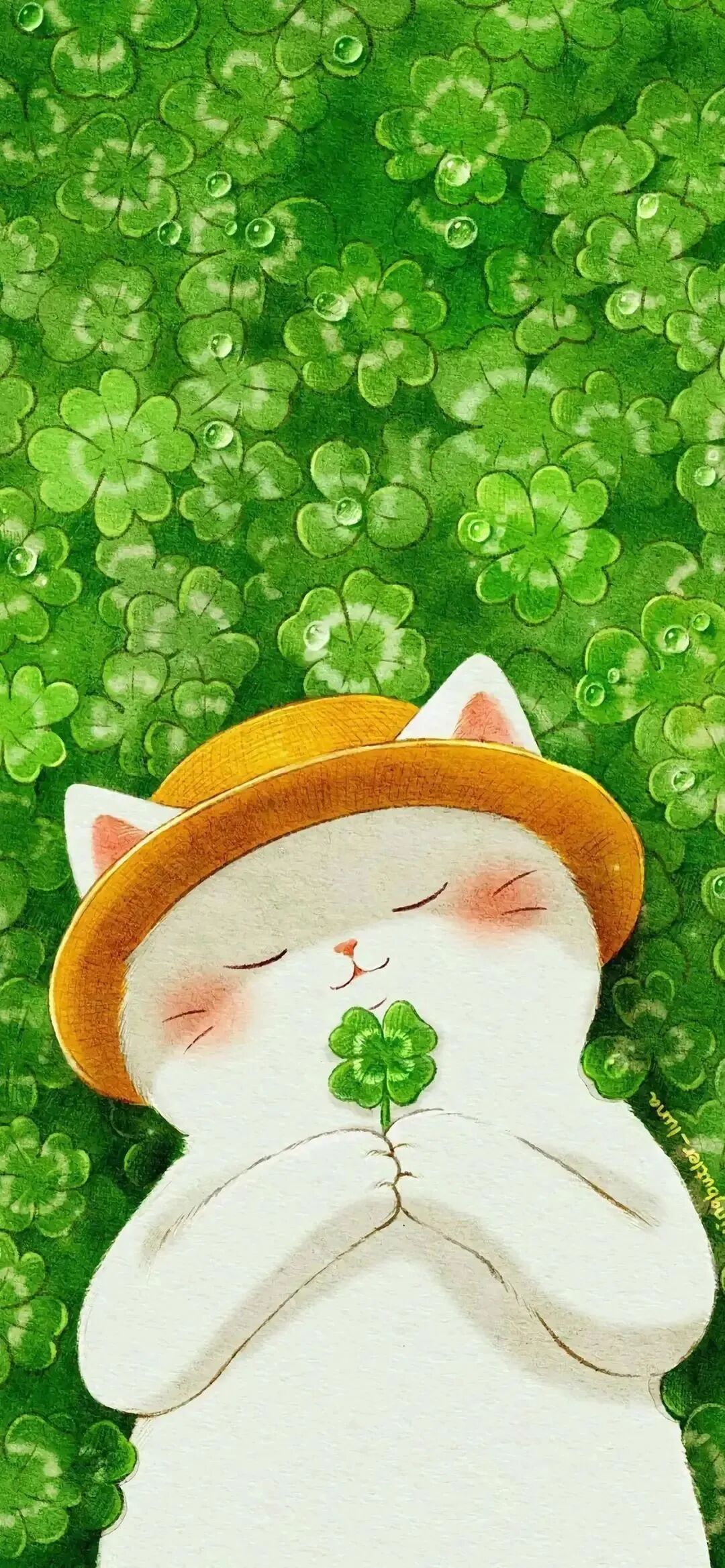 动漫