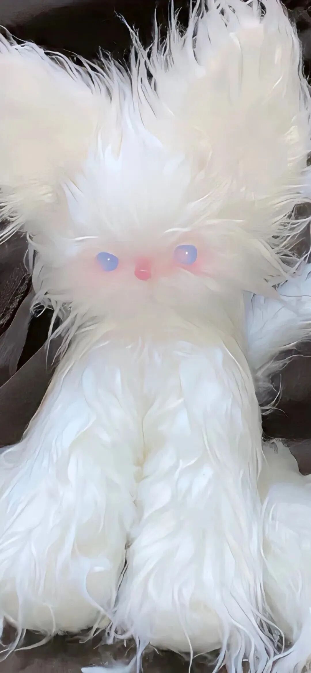 什锦