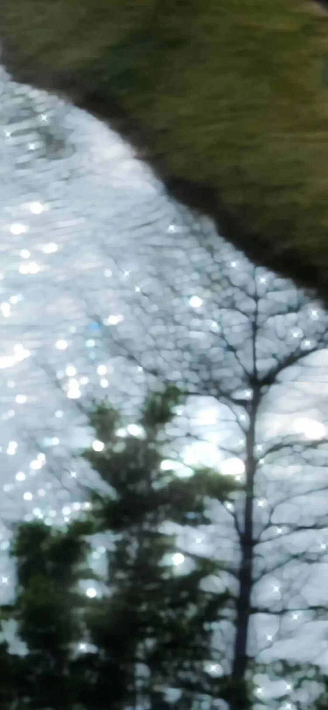 风景