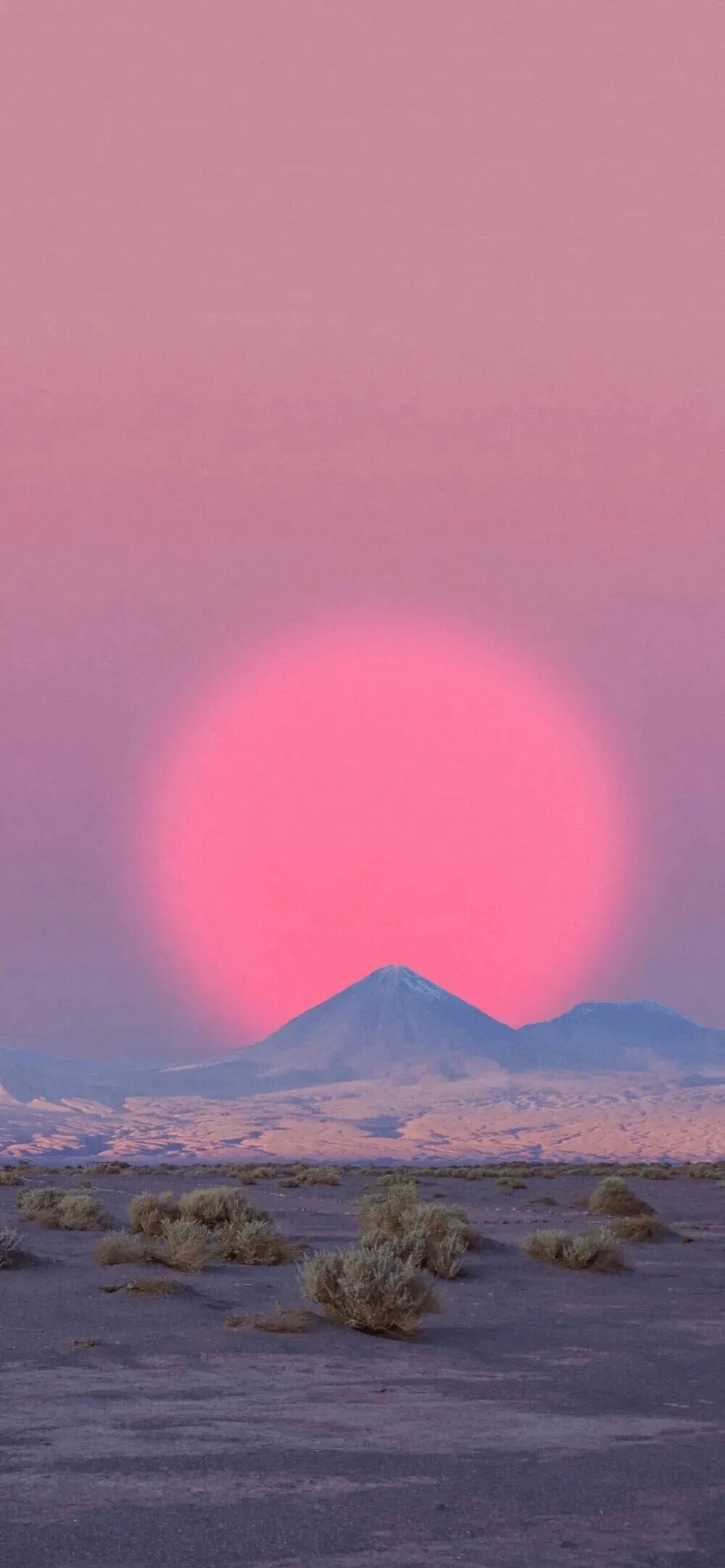 风景
