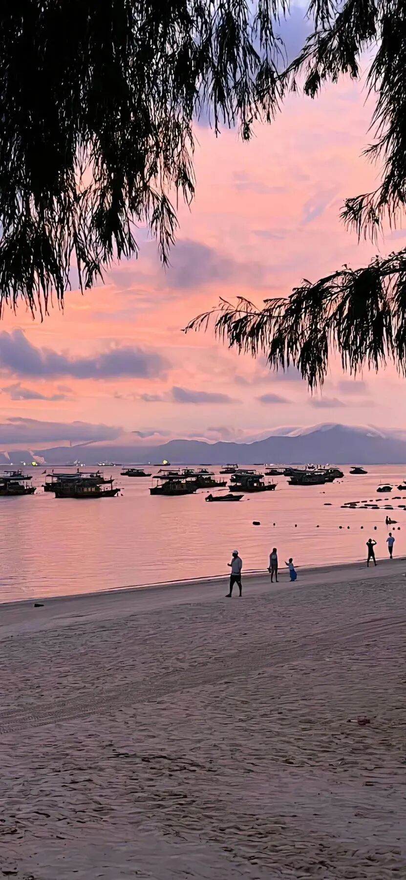 风景