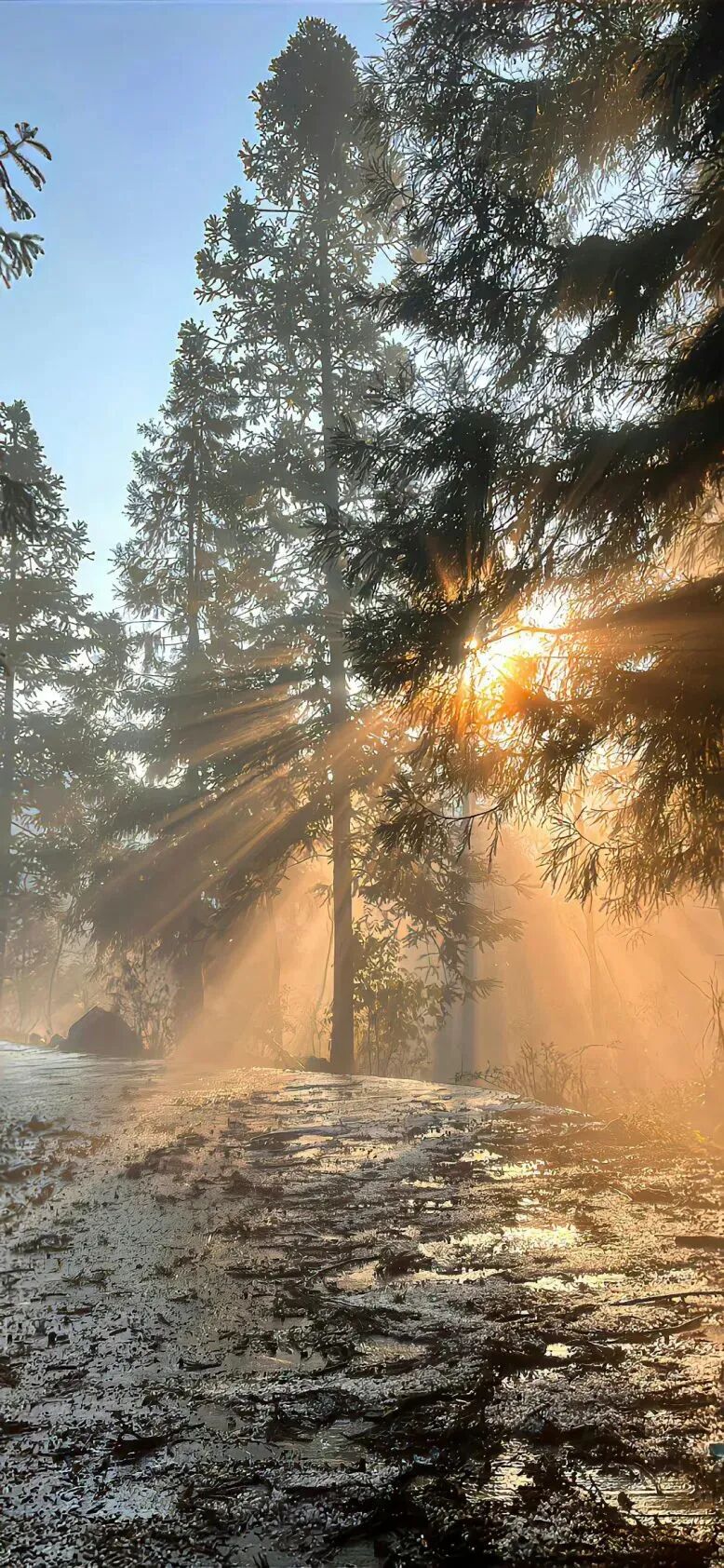 风景