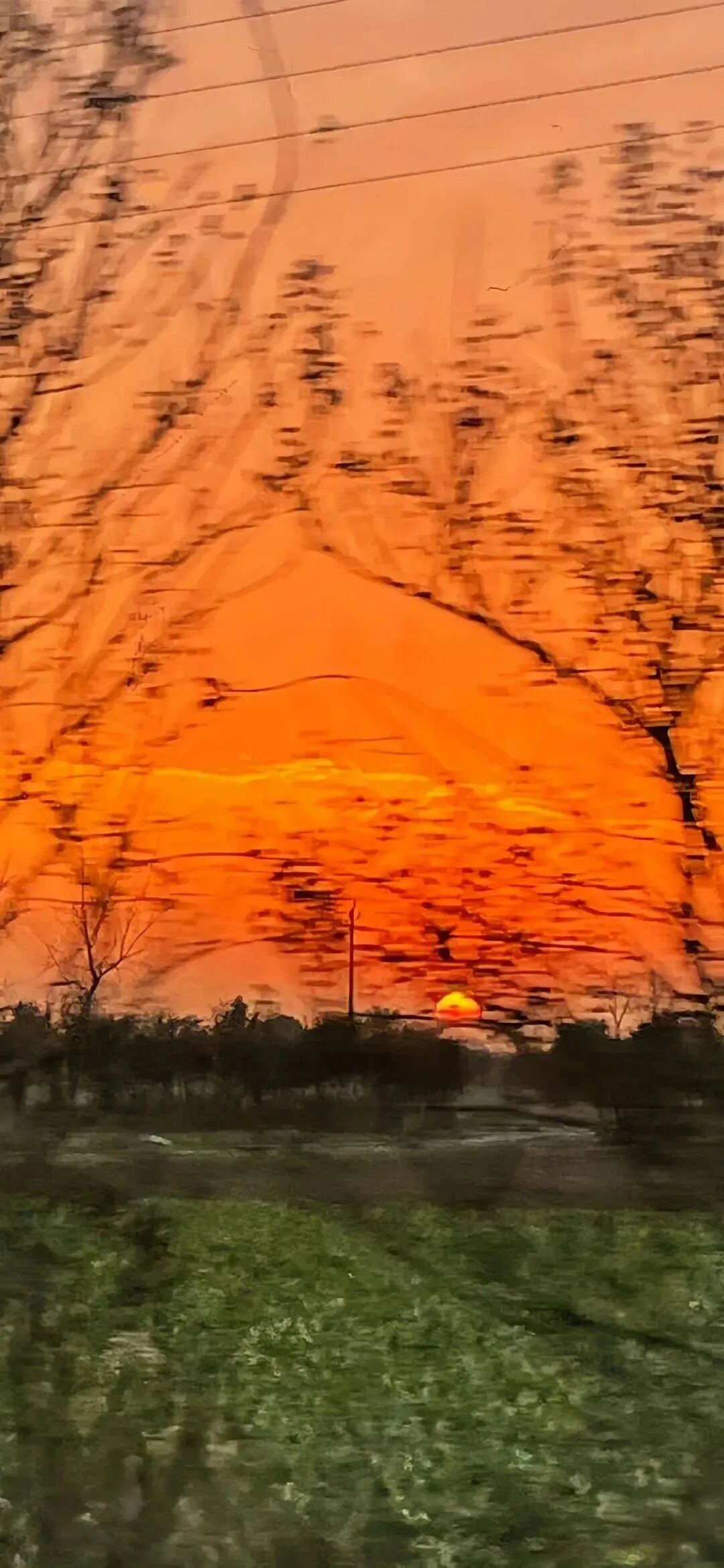 风景