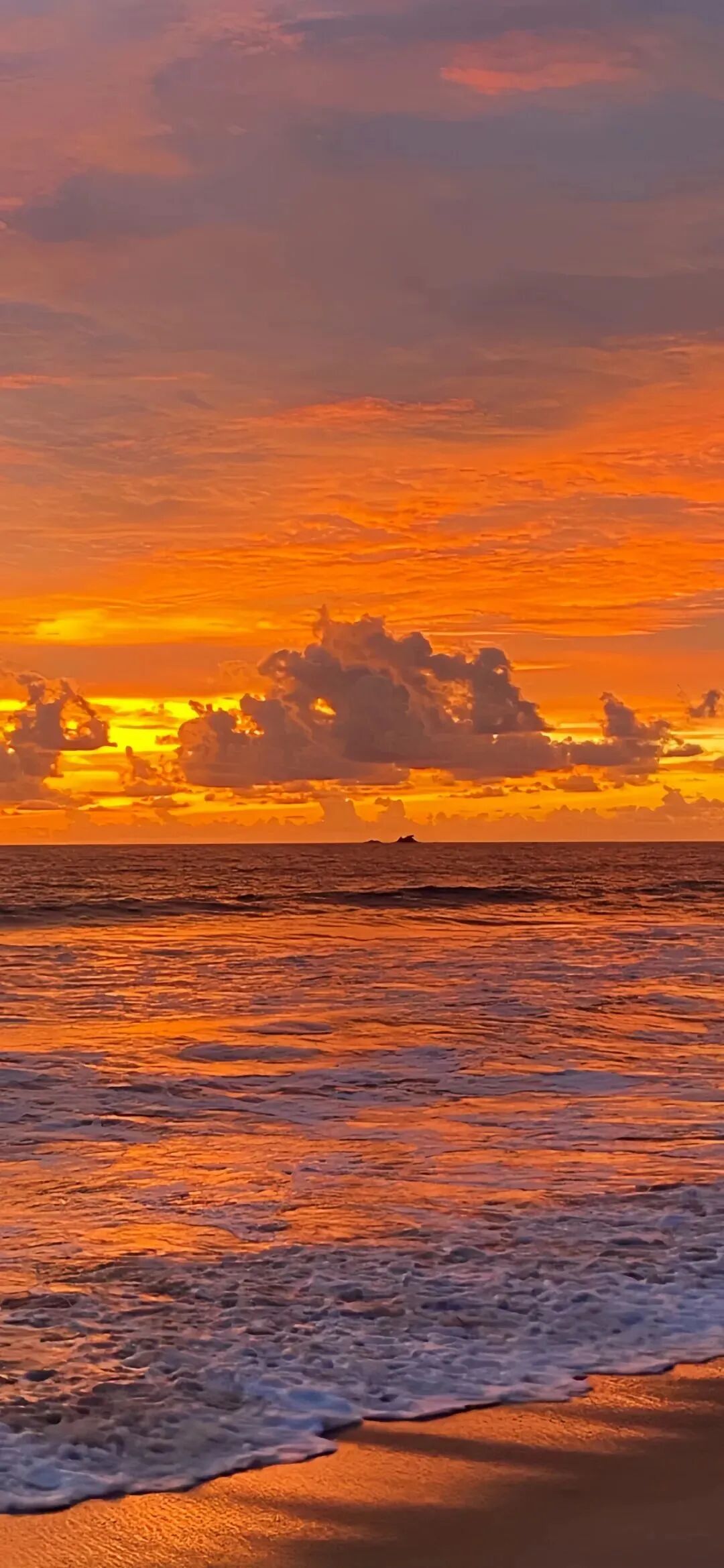 风景